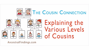 The Cousin Connection Explaining The Various Levels Of