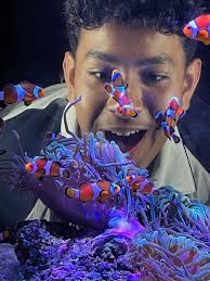 Wanneroo Secondary College