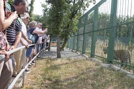 Zoo galaţi este situat în pădurea gârboavele important pentru vizitatori: GrÄdina ZoologicÄ S A Redeschis Cum AratÄ Parcul De 3 2 Milioane De Euro Foto ViaÅ£a LiberÄ GalaÅ£i