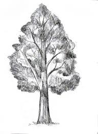 Check spelling or type a new query. How To Draw A Tree Happy Family Art