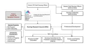 center for nursing research and education the mount sinai