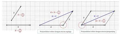 15 Contoh Soal Vektor Matematika Kelas 10 Sma Jawabannya