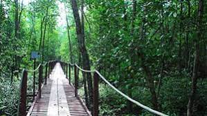 Siapa sangka malaysia mempunyai lokasi seindah ini. Tempat Menarik Di Kuala Selangor Yang Ni Je Best