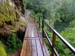 De Casualidad Salio Bien Opiniones Sobre Parque Nacional Alerce Andino Puerto Montt Chile Comentarios Tripadvisor