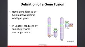 Gene Fusion Discovery Youtube