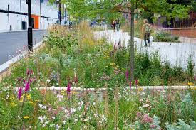 Nigel Dunnett Nigeldunnett On Twitter Rain Garden Design Landscape Design Rain Garden