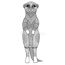 Meerkats (also called suricates) are small, burrowing mammals that live on the plains of southern africa. Meerkat Coloring Stock Illustrations 113 Meerkat Coloring Stock Illustrations Vectors Clipart Dreamstime