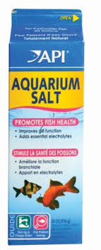 You Actually Want This The Most You Again Can Use It For More Than Just Fin Rot This Right Here Is Top Priority Betta Fish Care Fish Care Aquarium Fish