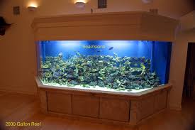 A 2,000gal sps dominant reef tank tour in minnesota?! High End Custom Aquariums Seavisions Of South Florida