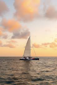 Image result for Selago barabei