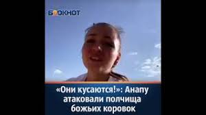 В анапе и ее окрестностях стремительно пустеют пляжи, и дело не в эпидемии коронавируса: Rnbnl3qk Ioi7m