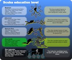 With padi as your training organization, your path you'll also want to keep in mind these requirements: Autonomous Diver Wikipedia
