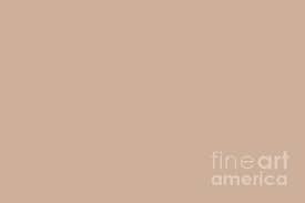 Top collection of colours, looks beautiful if implemented in our websites. Dark Taupe Tan Beige Light Brown Solid Color Inspired By Valspar Pale Powder 3001 8a Greeting Card For Sale By Melissa Fague