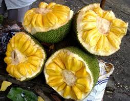 (though, the average size of the fruit is 10 to 25 pounds.) its huge trees produce massive, green, oblong fruits with a bumpy, fleshy exterior. Database Of Nepalese Fruits