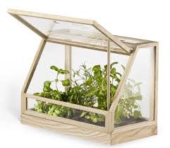 Design House Stockholm Greenhouse Mini Terrarium Natural Wood Made In Design Uk Mini Greenhouse Indoor Greenhouse Diy Greenhouse