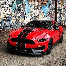 Nice Mustang Follow Musclemaddness5 0 Mustang Gt Wrap Gt350 Gt500 Shelby Stripes Vinyl Americanmus Sports Cars Mustang Mustang Cars Ford Mustang Car