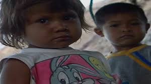 24 Dog Carrying Bottle Stock Videos, Footage, & 4K Video Clips