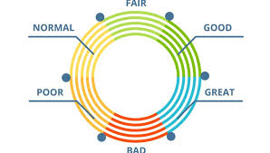 Find out when your issuer reports payment history. How To Improve Your Credit Score Forbes Advisor