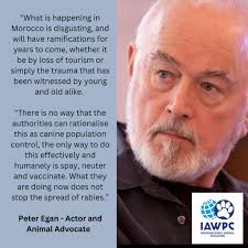 Jane Cobb (@RJaneCobb)