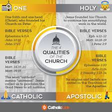 The Four Marks Of The Church This Critical Doctrine Explained In One Infographic Churchpop Catholic Catechism Catholic Teaching Catholic