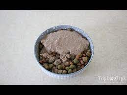 Grind the flakes into a flour using a food processor or blender. Homemade Dog Food Gravy Recipe Dog Food Topping Or Mixer Youtube