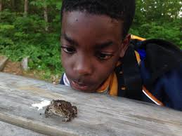 NatureHood Partner Profile: Finding a “Sit Spot” Activity with Trails Youth  Initiatives