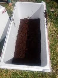 Maybe you would like to learn more about one of these? How To Create A Diy Worm Farm Made From Polystyrene Boxes