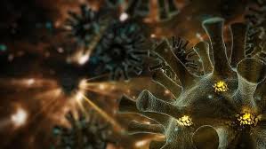 Sep 03, 2021 · fauci said the mu variant, technically known as b.1.621, has mutations suggesting it would evade certain antibodies, potentially including those from vaccines. I4 Vpy0bwmn5m