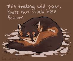 50 pet quotes and sayings for all animal lovers. 10 7k Likes 63 Comments Thelatestkate On Instagram Depressionrecovery Gad Mentalhealthrec Inspirational Animal Quotes Cute Animal Quotes Animal Quotes
