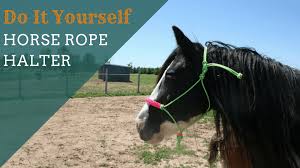 They are well liked because some trainers feel that a rope halter provides clearer communication with the horse compared to a leather or web halter. How To Tie A Rope Halter With A Fiador Knot Homestead Tack