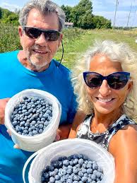 Any blueberries still left for picking?