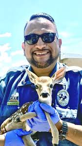 Snakes seeking heat relief, too