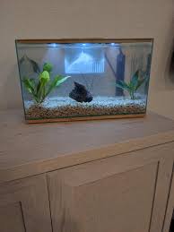 Nitrogen Cycle - Fish Care