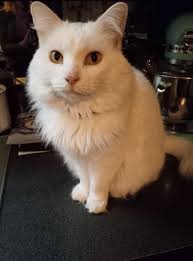 Cracker ❤️❤️❤️❤️❤️