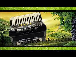 Muzica de petrecere moldoveneasca cea mai frumasa muzica moldoveneasca 2021. Muzica De Petrecere 2018 Program Nou Muzica Lautareasca Youtube