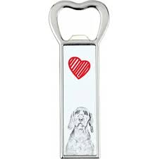 Image result for maďarský ohař drátosrstý