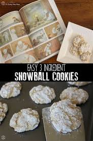 The holiday season is always busy, so having a few easy cookie recipes on hand will make your life much easier. 3 Ingredient Snowball Cookies To Cook With Your Kids