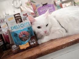 Millennials Are Treating Pets Like Their Firstborn Child And It S Reportedly Causing Problems For Some Of The Best Known Pet Food Brands Food Animals Pets Firstborn