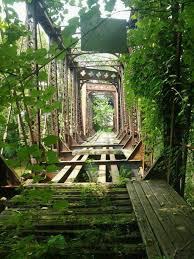 Abandoned Bridge In New Castle Pa Abandoned Abandoned Train Abandoned Places