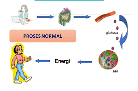 Kurang gula dalam darah (hypoglycemia). Diabetes Melitus Apa Dan Bagaimana Rumah Sakit Emc