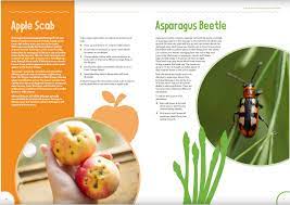 In 1987, the national cancer institute found that the risk of childhood leukemia increased more than six times when garden pesticides were used at least once a month. Gardening Without Pesticides Pesticide Action Network Uk