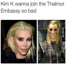 Never Liked The High Elves Skyrim Skyrim Funny Elder Scrolls Memes