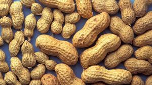 Peanuts are one of the most familiar food staples in the united states. Fda Approves First Treatment For Kids With Peanut Allergy Pbs Newshour