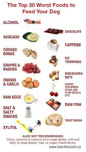 Pin On Dog Nutrition