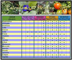 Calendario De Siembra Bulbos Plantacion De Bulbos Cultivo De Flores Cultivo De Hortalizas