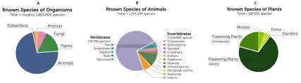 The Diversity Of Life Biology For Majors Ii