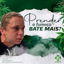 Tabacaria 4i21 Acende Puxa Prende E Passa Essa Frase Aparece Em Uma Musica Muito Famosa Do Gabriel O Pensador Que Ele Fala Sobre Maconha E Que Provavelmente Todo Maconheiro Brasileiro Ja