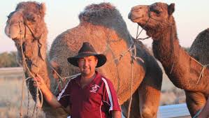 There are plenty of great surf beaches in port stephens, but if you're a beginner to intermediate and wondering where to go, then definitely head to. Rod Sansom And Oakfield Ranch Camels Trading Anna Bay Beach For Outback On The Road To The Camel Racing Circuit Port Stephens Examiner Nelson Bay Nsw