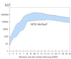 Schwangerschaftstest Hcg Tabelle Und Hcg Rechner Wann Testen