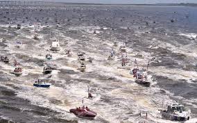 We did not find results for: Trump Space Coast Boat Parade Draws Enormous Fleet Of Watercraft To Intracoastal Waterway